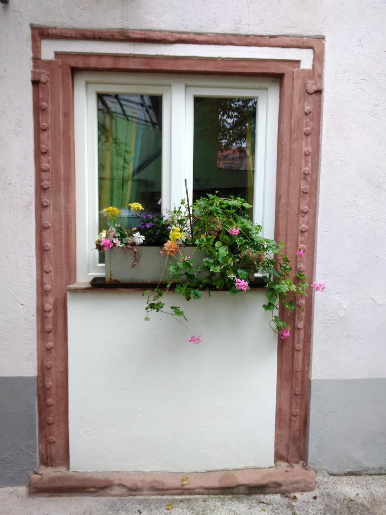 Appertment Im Garten Apartment Worms Exterior photo